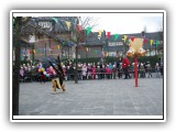 IMG_9242