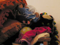 kat onder knuffels