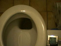 de keldercam stond even op de wc-bril ;-)