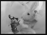 16wurgkonijncurator-IMG_0325