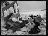 koekjesopdringen-IMG_0424