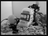 no-cambol-IMG_0442