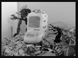 opeenbergkoekjes-IMG_0381