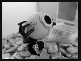 pag41-cookie-cam-spam-overtreding
