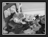 cookies-opdri-IMG_0424