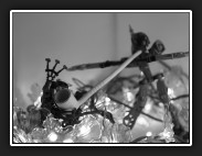 ZW-11-tabaksreclame-IMG_1164