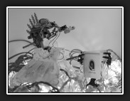 ZW-15-vuistregelsdealers-IMG_1159