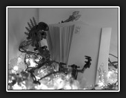 ZW-17-spamtoestemming-IMG_1206