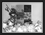 ZW-19-privacybook-IMG_1217