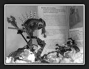 ZW-21-grenzenverwerking-IMG_1220