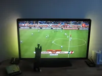 Miesje (8weken) jaagt op voetballers en de bal