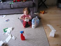 schoonmaak