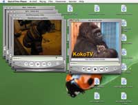 Leora's desktop