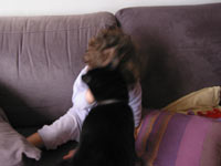 Leora en Zip